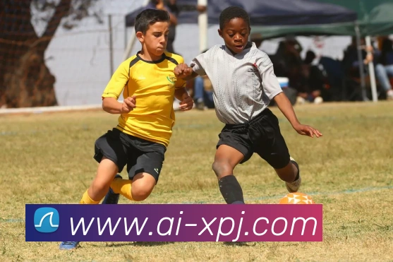 新葡京娱乐平台生态图